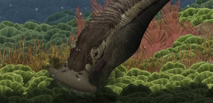 The Plant Eating Hammerhead